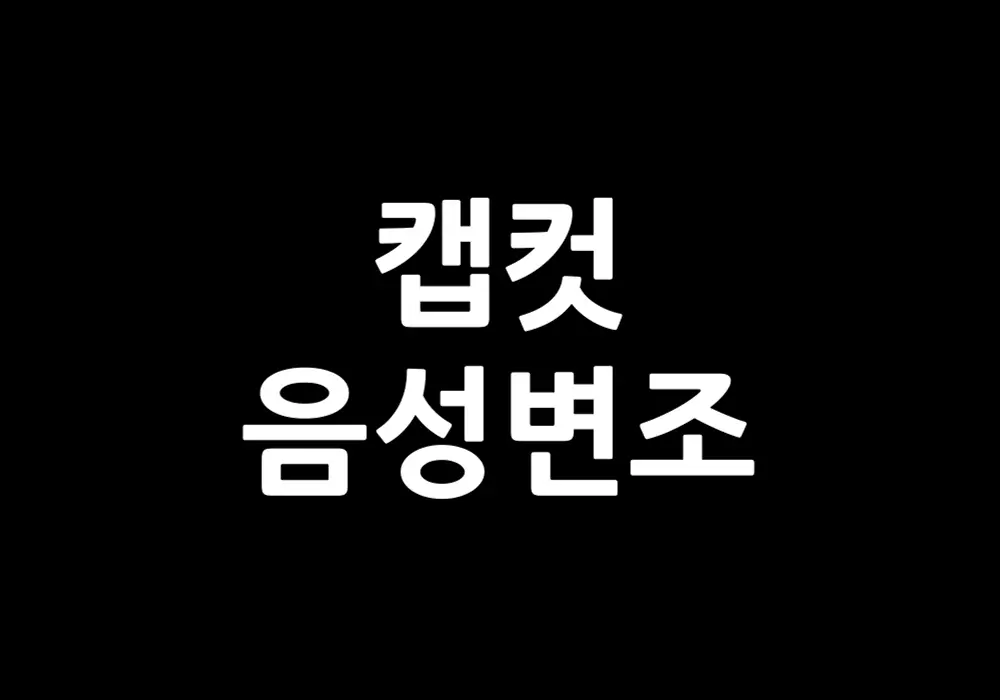 캡컷 음성변조 재미있는 효과 만들기