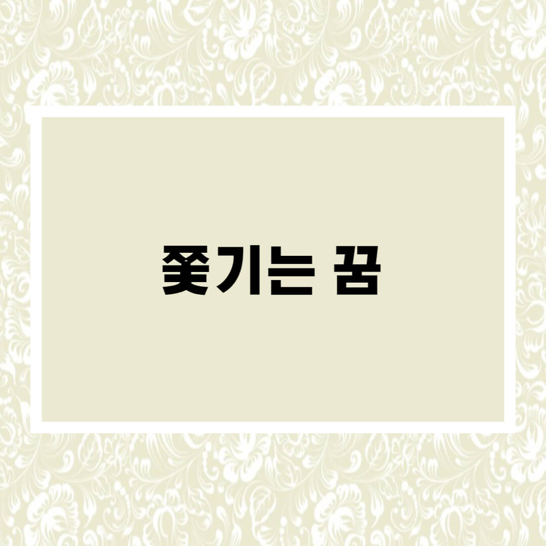  쫓기는 꿈해몽  20가지 총정리