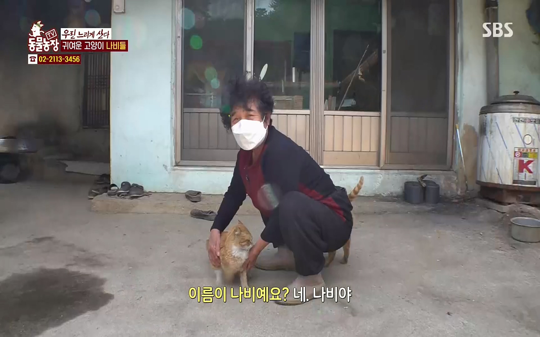 TV 동물농장.E1067.220501p.H264-F1RST.mp4_20220501_183713.932.jpg