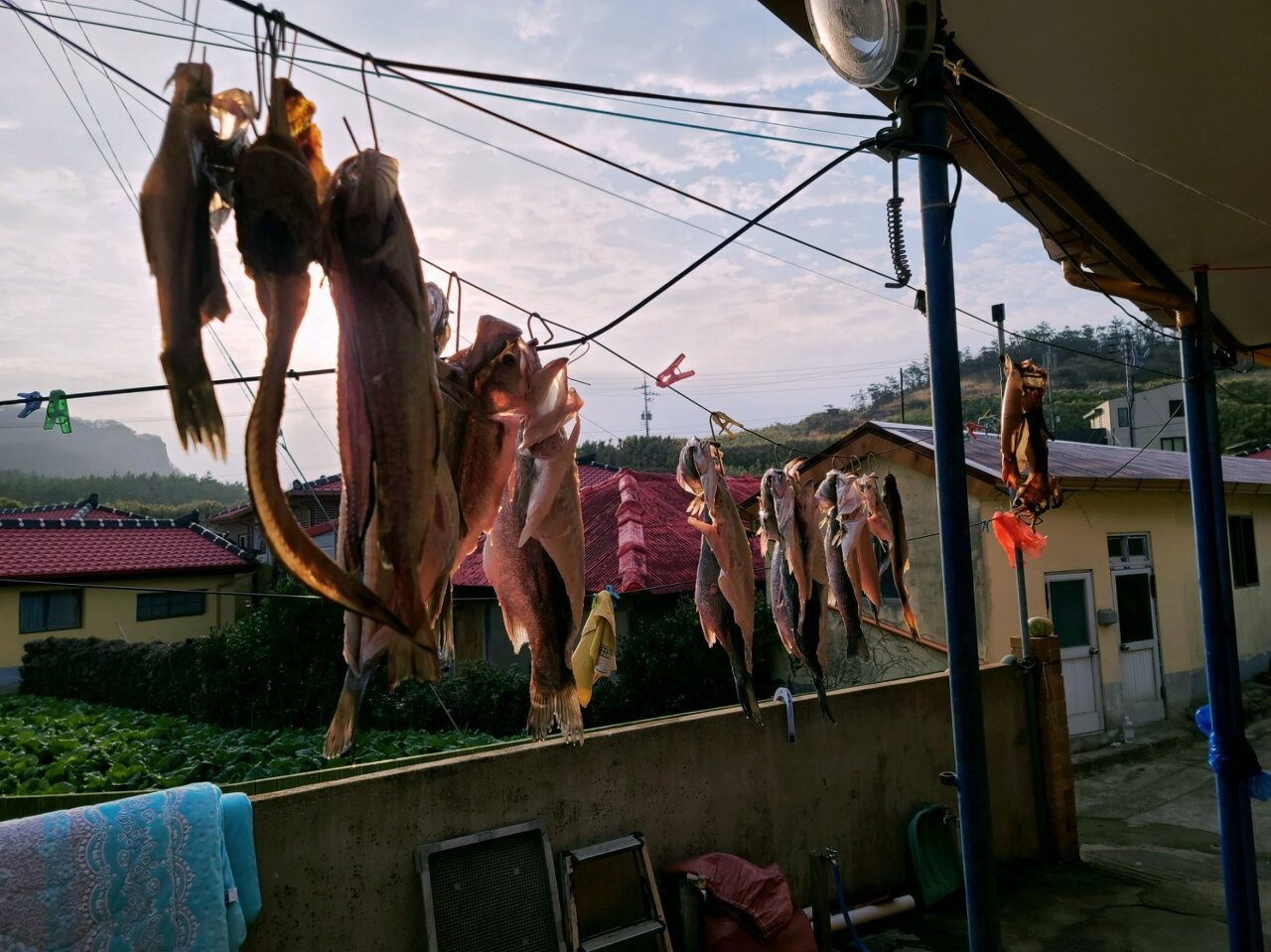 정치망민박 이미지