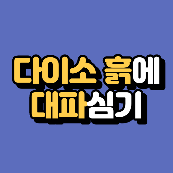  다이소 흙으로 집에서 대파 키우기
