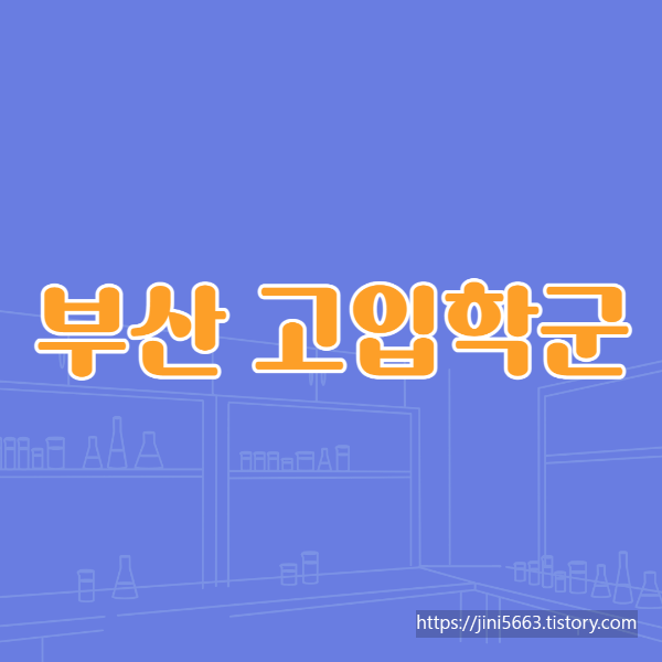  부산 고입학군 정보