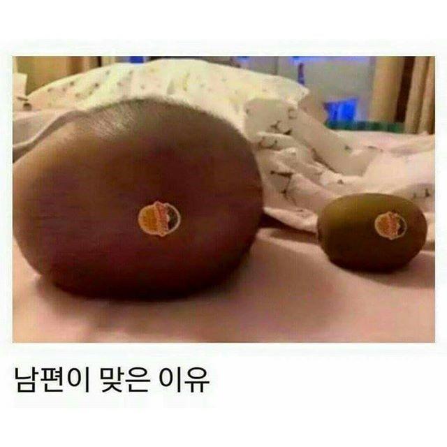   뚜뚜월드