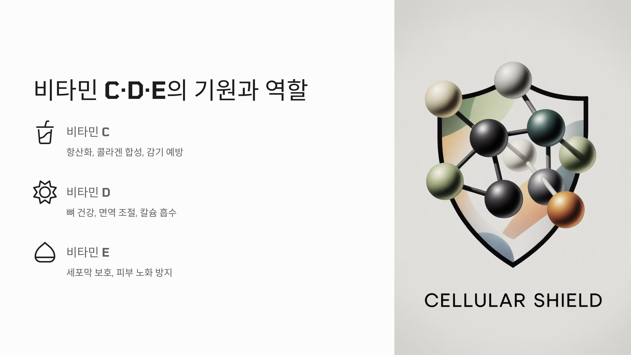 비타민 C·D·E의 기원과 역할