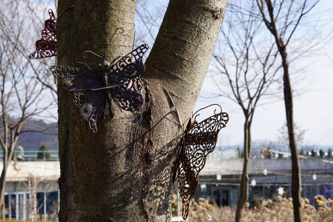나무줄기에 장식된 나비모양의 조명