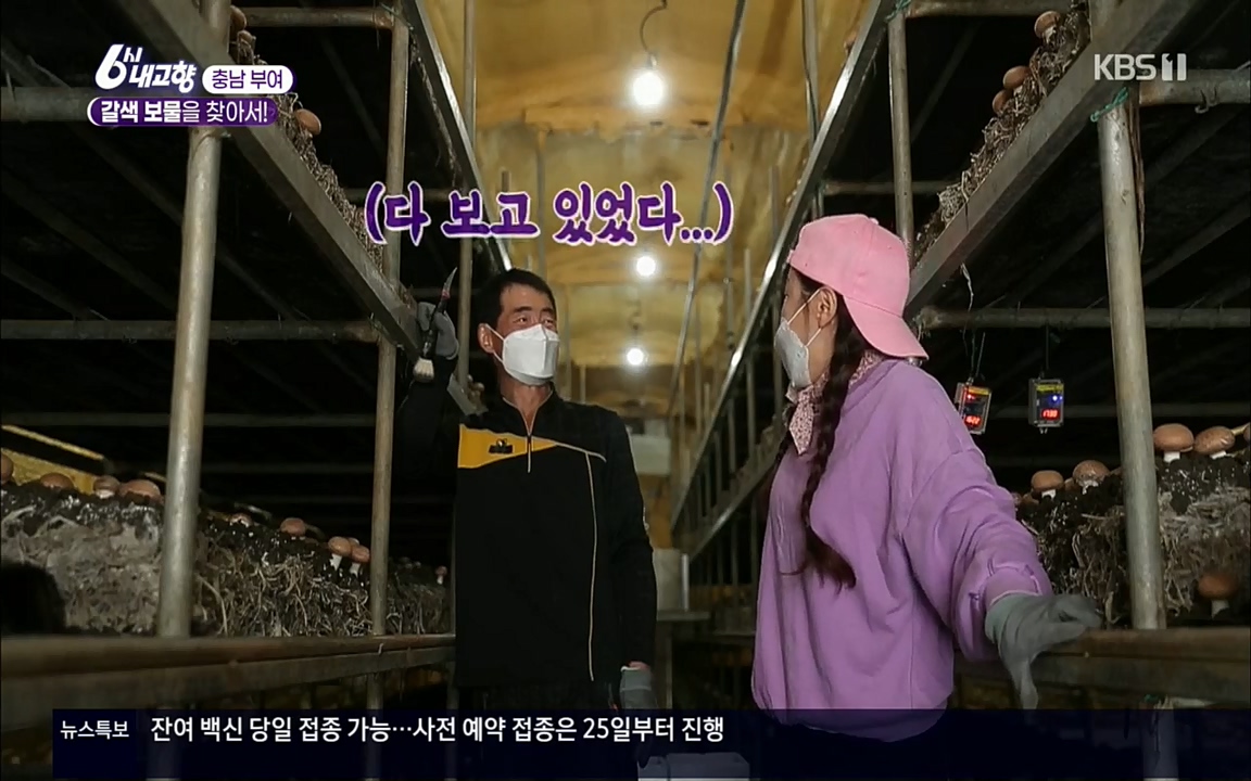 6시 내고향.E7512.220416p.H264-F1RST.mp4_20220502_185446.613.jpg