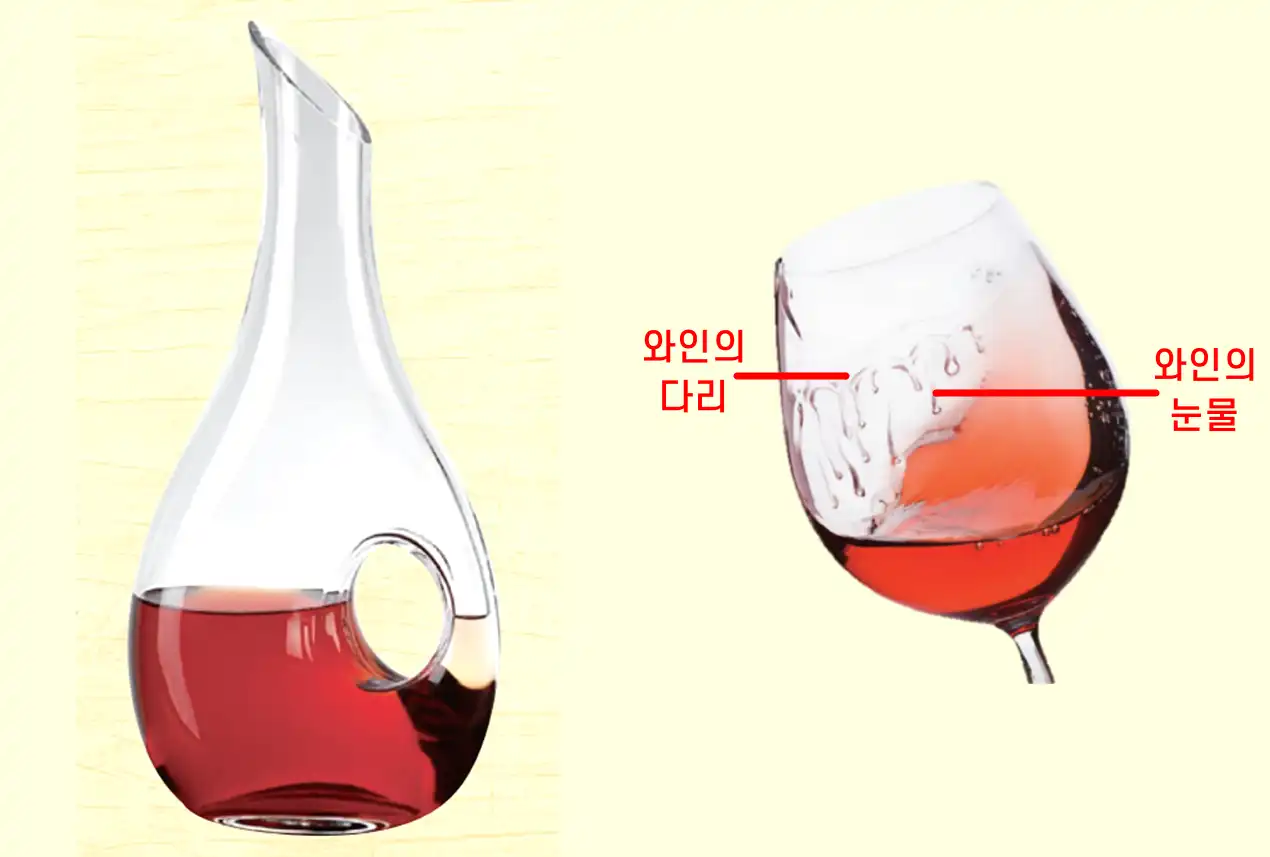  와인 잘 알고 맛있게 즐기는 방법
