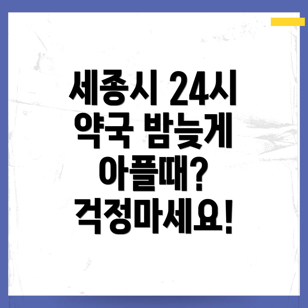 세종시 소담동 24시 약국