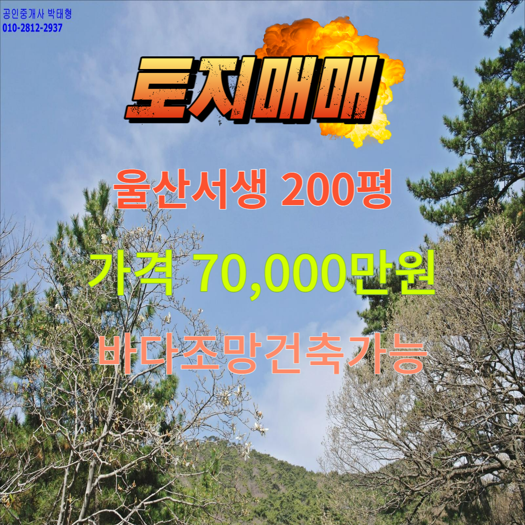  울산 서생면 진하리 헤이메르카페부근 토지매매