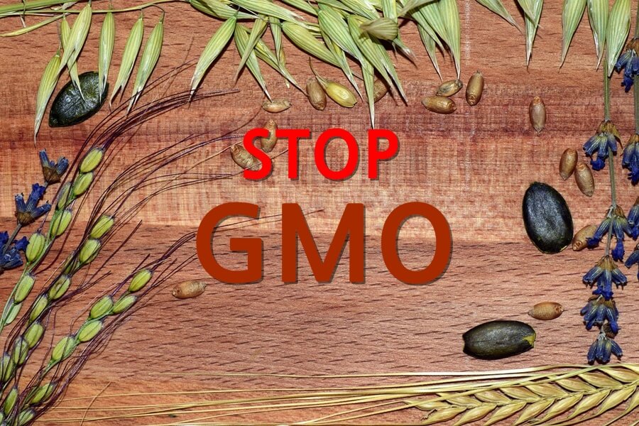 STOP-GMO라고-쓰여진-푯말