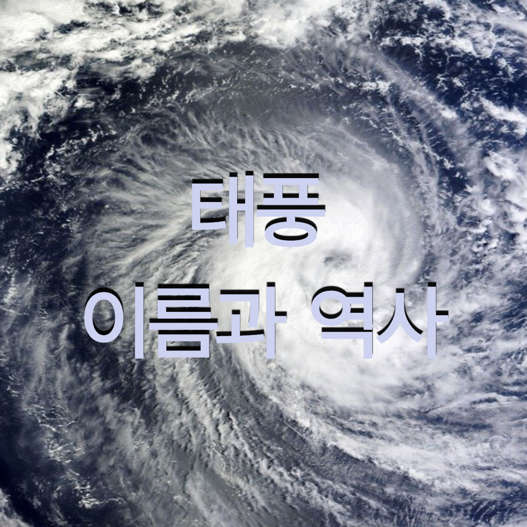  태풍 이름과 역사