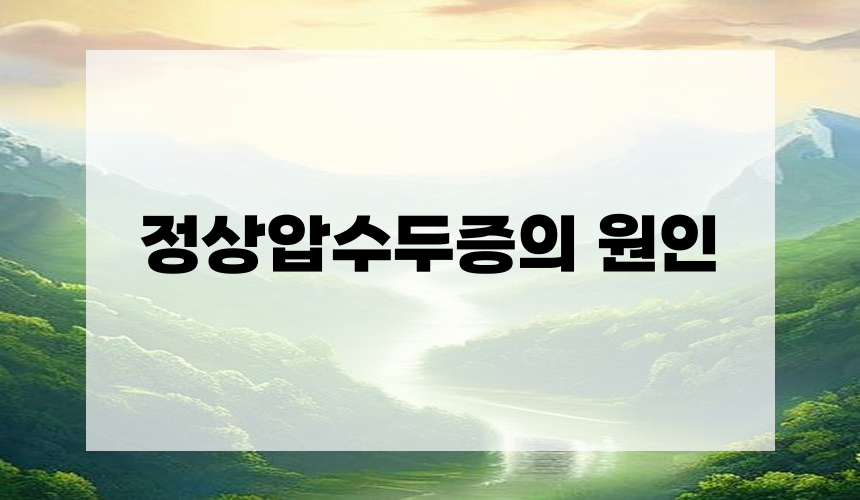 정상압 수두증의 원인