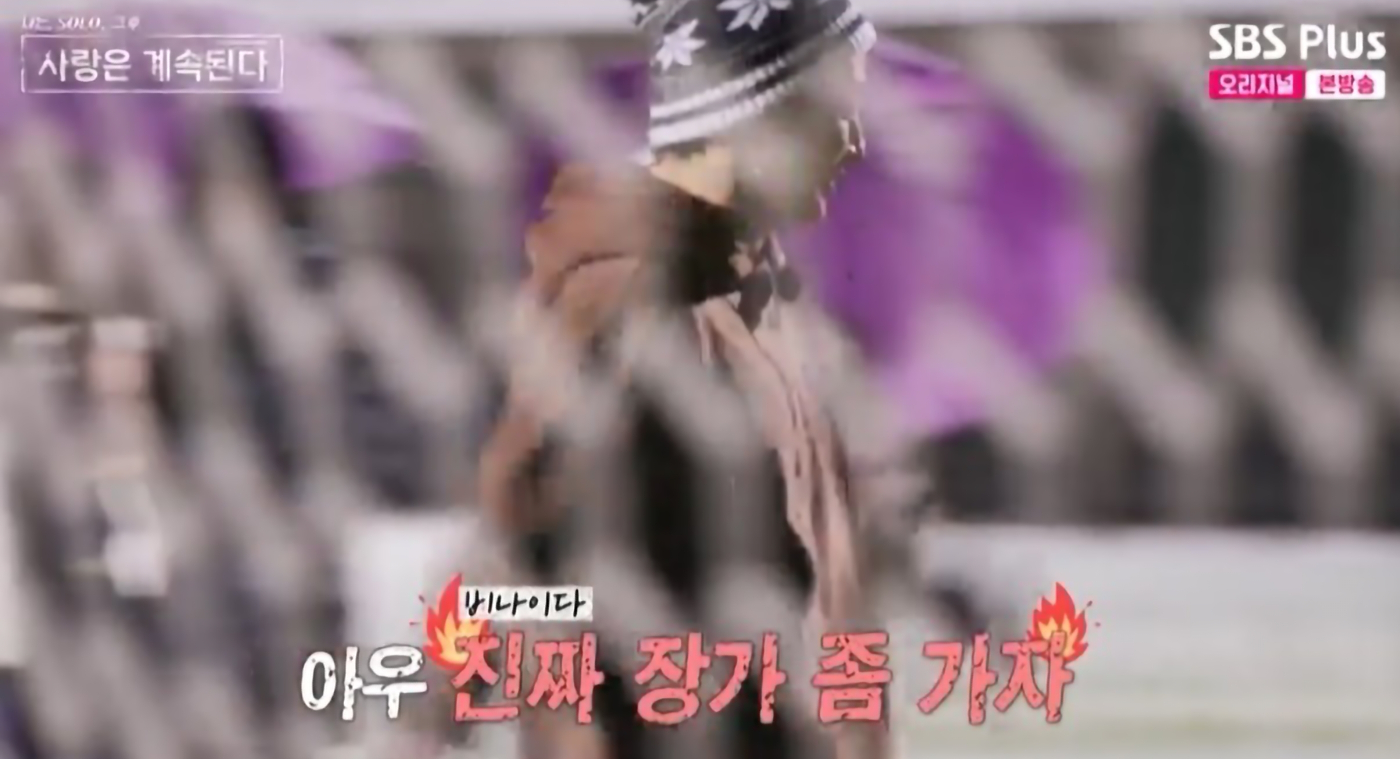 나솔사계