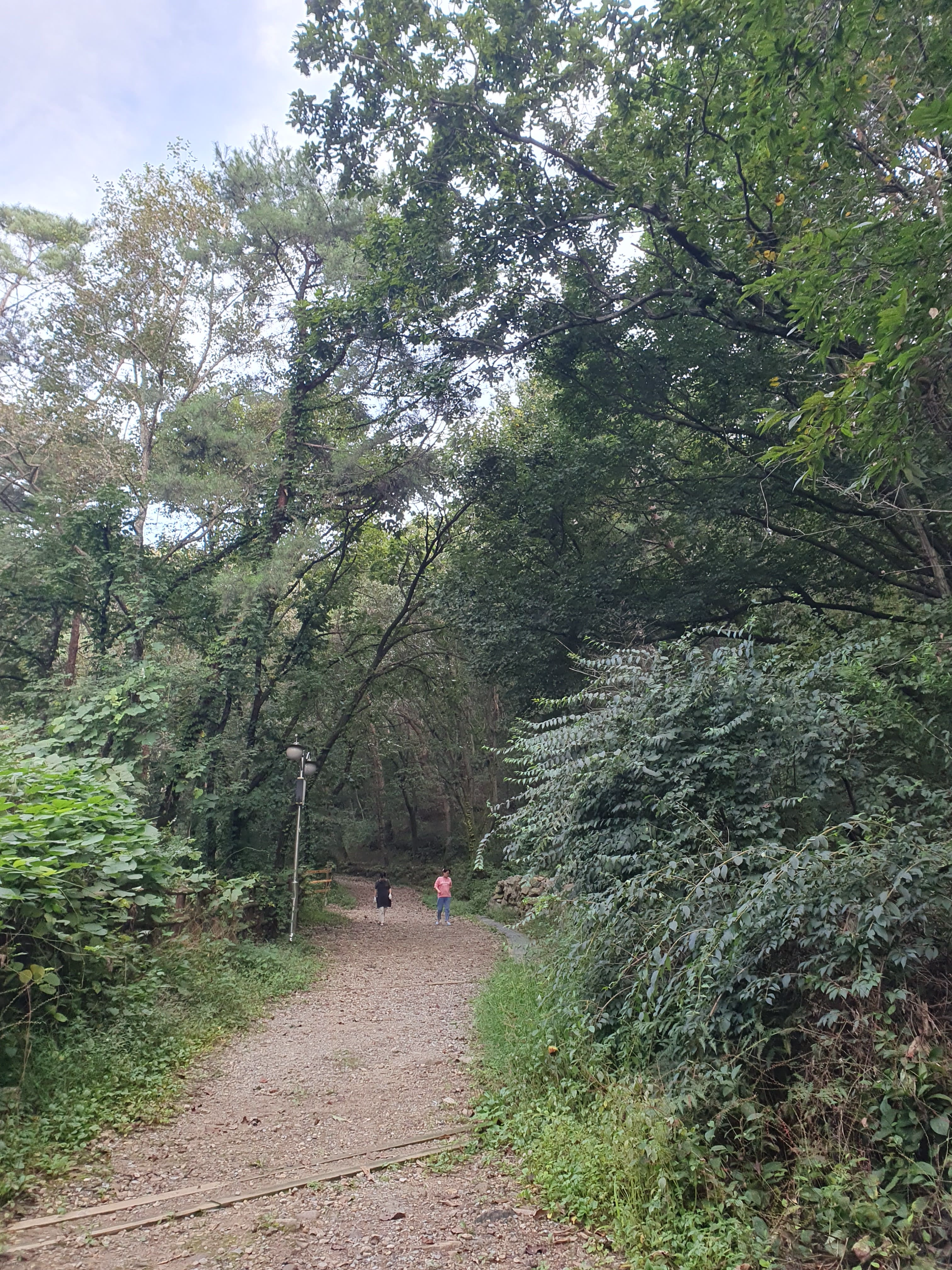 서울대공원 캠핑장