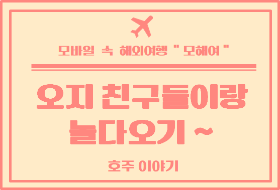  호주 여행 외국인 친구들과 펍 다녀오기, 코스트코 소고기