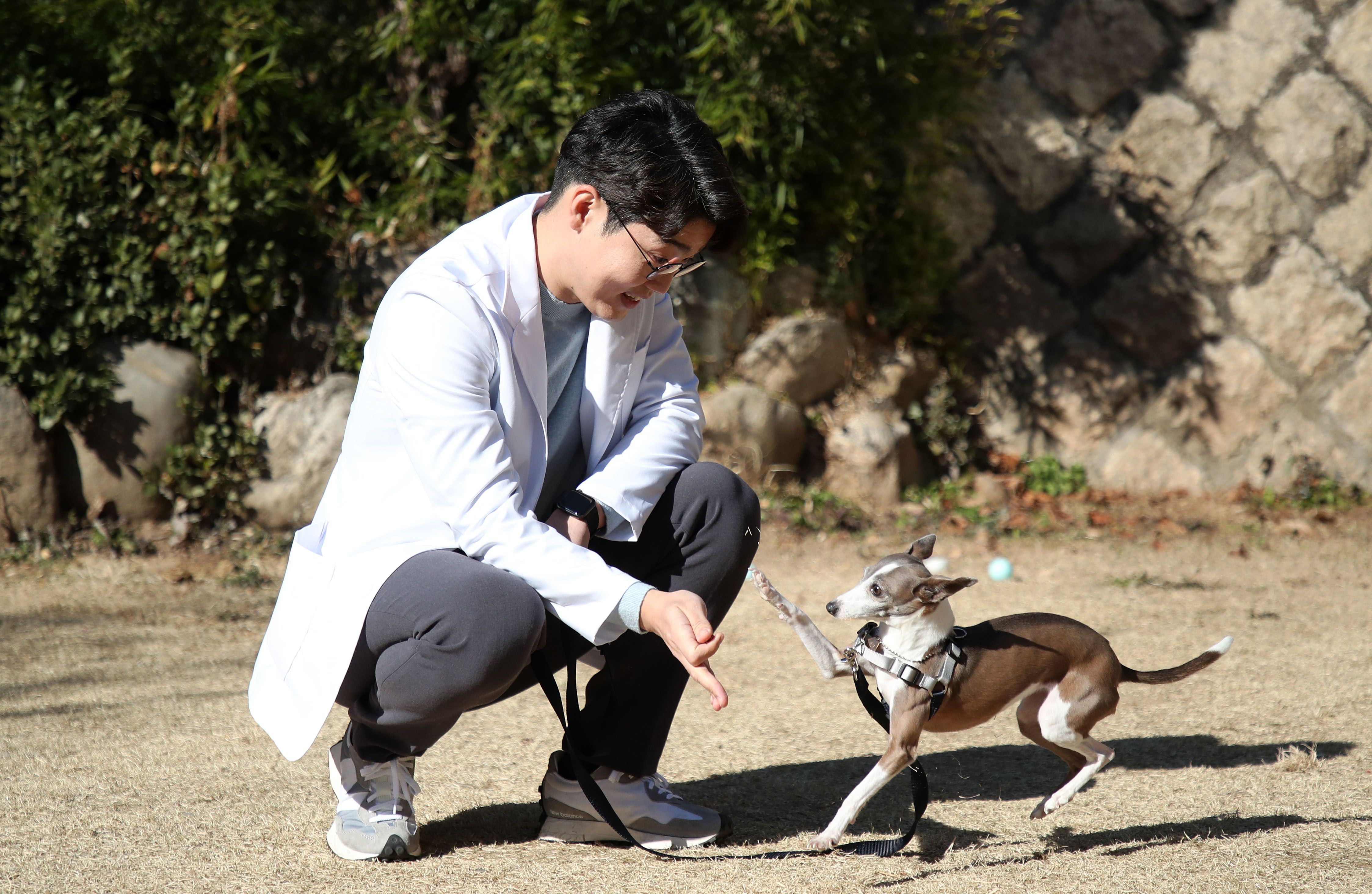 설채현 수의사 나이 프로필 학력 결혼 강아지 과거 세나개 부인 동물병원