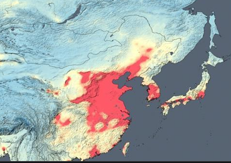  지나치기 쉬운 16가지 암의 위험요인 - 2편