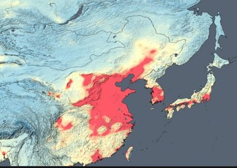 국내-미세먼지