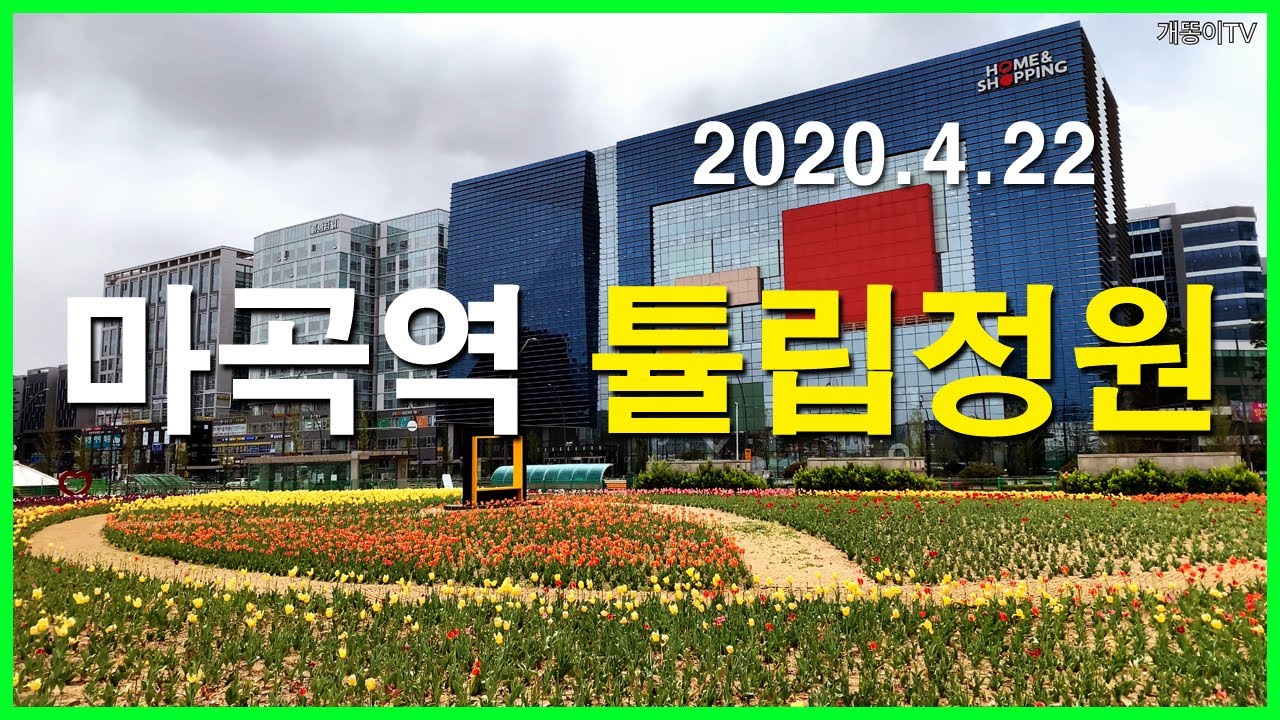  마곡역 튤립정원 | 마곡동 | 마곡지구, 마곡9단지, 마곡7단지, 스타벅스 마곡나루공원점, 마곡하늬공원