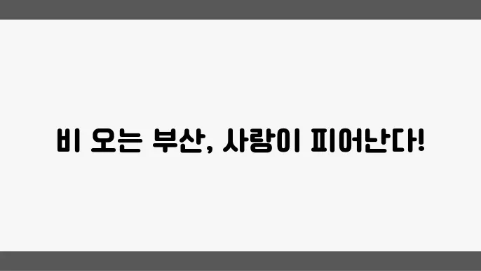부산 비 오는 날 데이트 코스 베스트 10