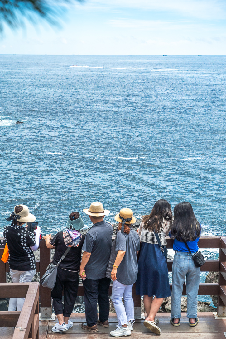 승합차렌트 제주도 17