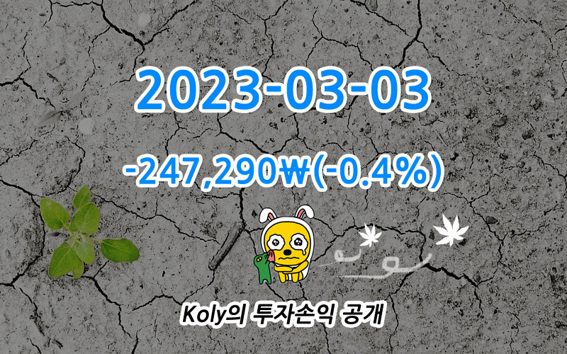 Koly의 주식투자 손익 공개