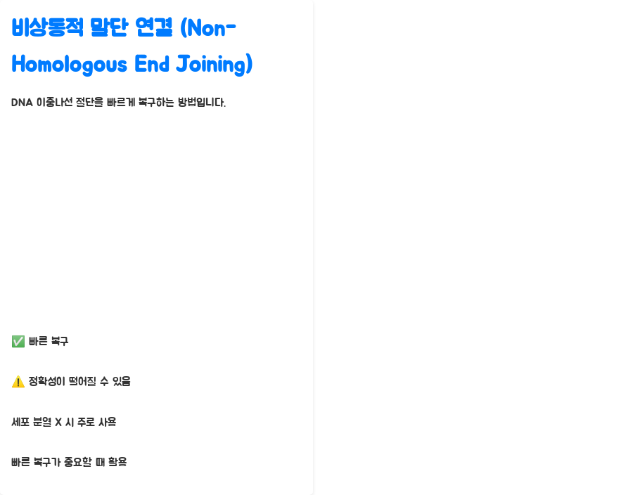 DNA 복구 실패가 부르는 질병: 암, 노화, 유전병의 비밀 - DNA 손상과 복구 기전: 세포가 가진 자가 치유 능력 - 비상동적 말단 연결 (Non-Homologous End Joining): 빠르지만 정확하지 않은 복구 DNA 복구 실패가 부르는 질병: 암, 노화, 유전병의 비밀 - DNA 손상과 복구 기전: 세포가 가진 자가 치유 능력 - 비상동적 말단 연결 (Non-Homologous End Joining): 빠르지만 정확하지 않은 복구