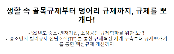  생활 속 골목규제부터 덩어리 규제까지, 규제를 뽀개다!
