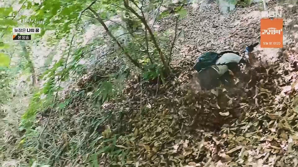 나는 자연인이다.E561.230705p.H264-F1RST.mp4_20230706_213039.675.jpg