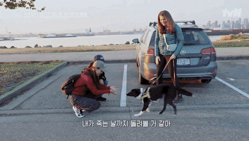 이효리