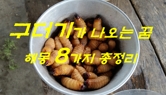  구더기꿈 해몽 8가지 총정리
