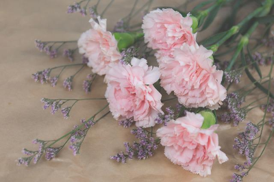 보라색 라벤더 꽃과 분홍색 카네이션 꽃다발