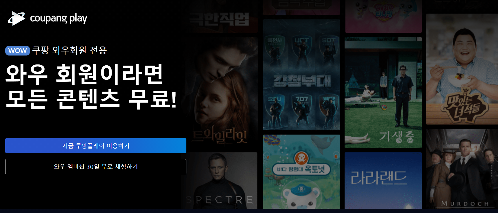  쿠팡플레이 가격 및 PC 버전