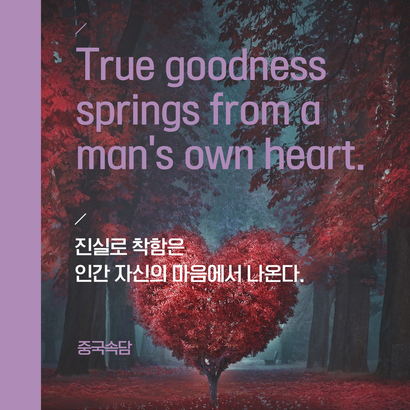 행동속담
