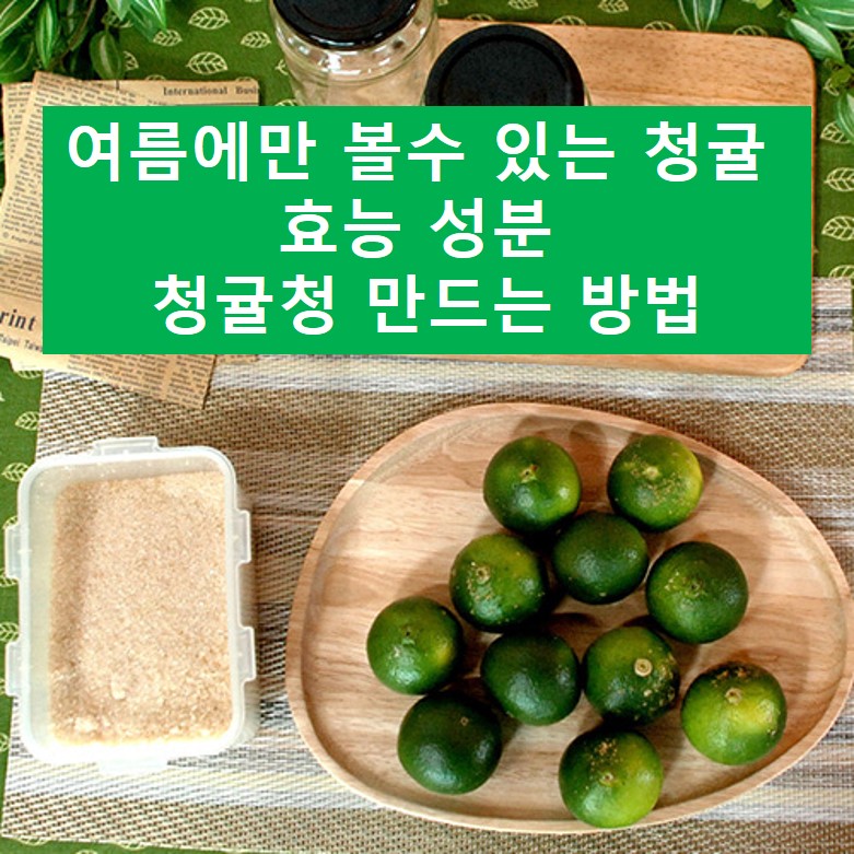 여름에만 볼수 있는 청귤 효능 성분 알아보기