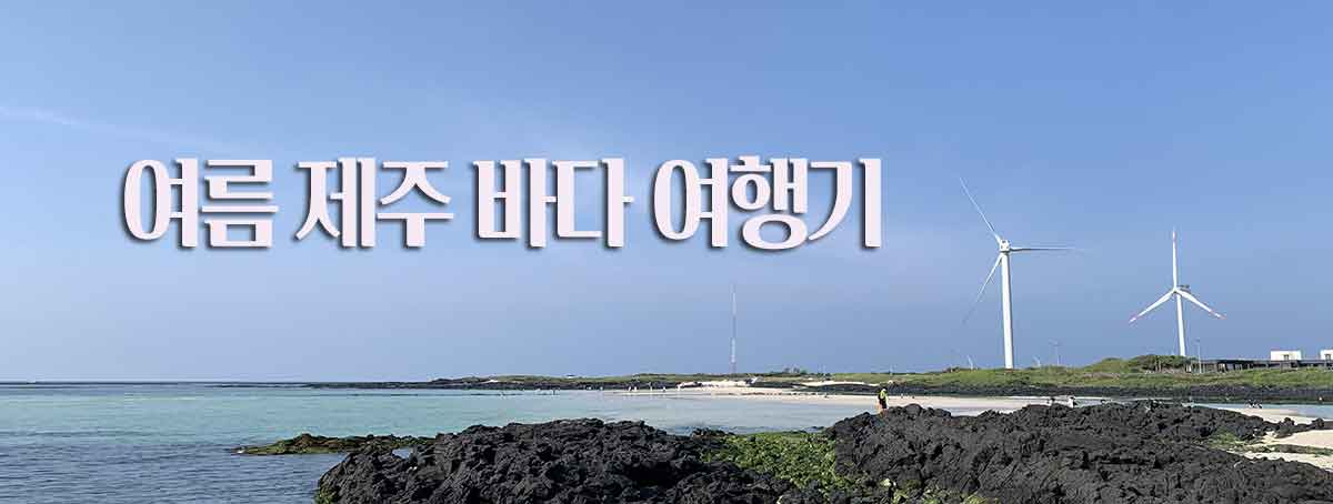 이미지늘린배너예시