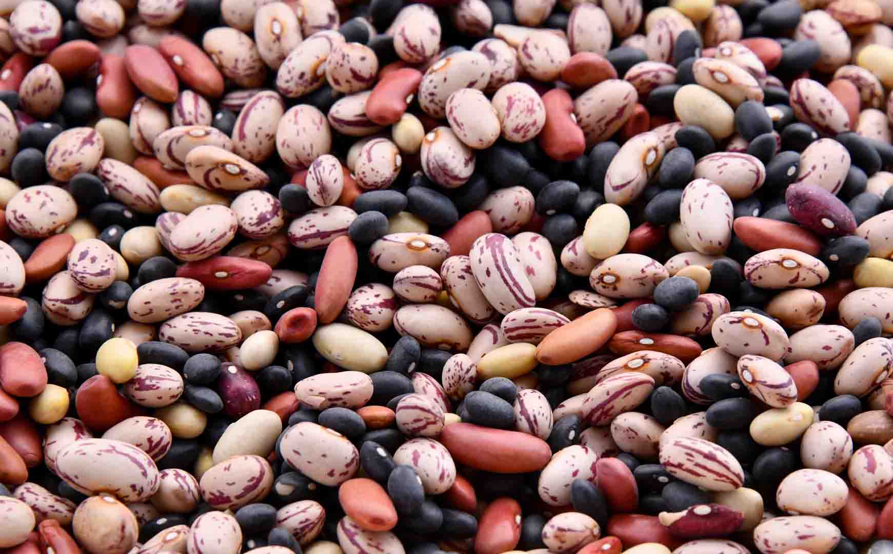 다양한-종류의-콩들이-섞여있는-사진