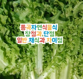 통곡자연식물식-다이어트