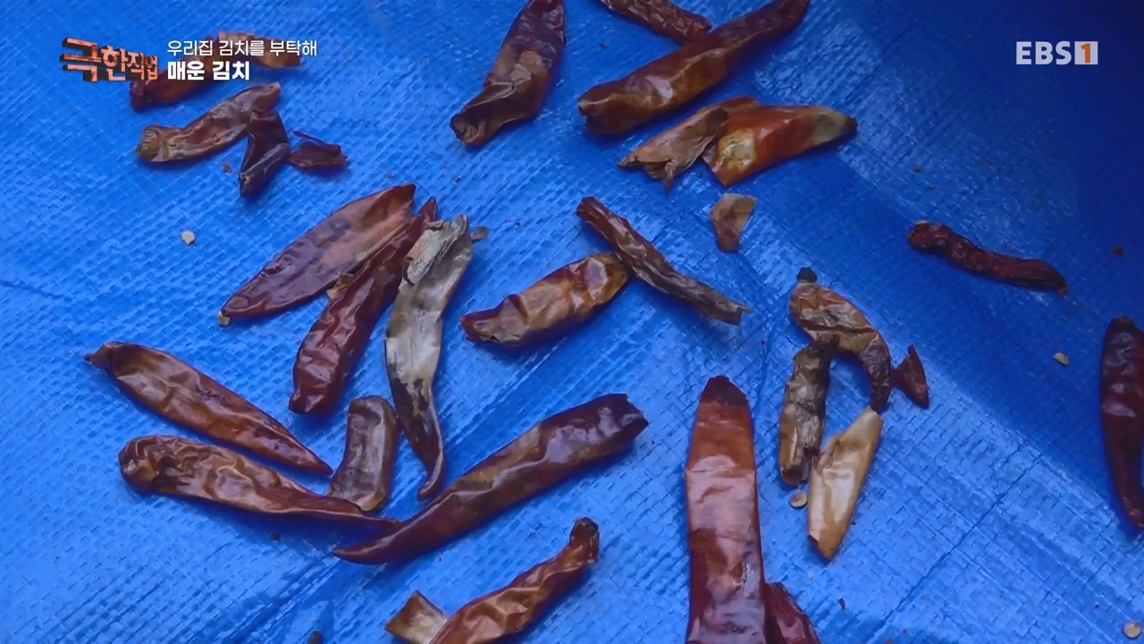 TV - 전 국민의 평생학교 EBS우리 집 김치를 부탁해.mp4_20231228_201816.241.jpg