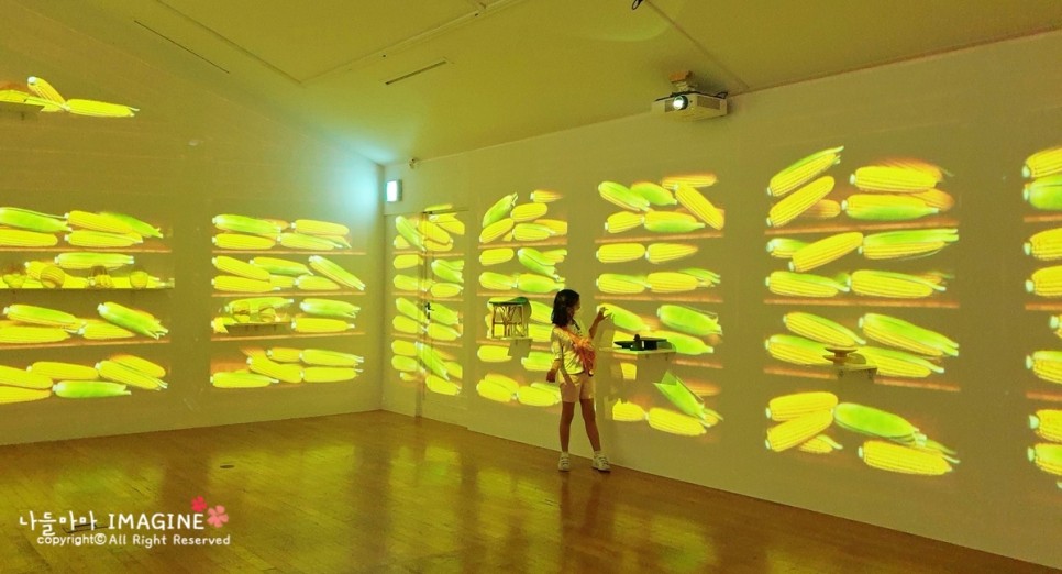 대림미술관 전시#기묘한 통의 만물상 7