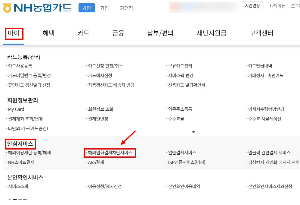  해외 결제 시 꼭 해야 되는 절차(해외원화결제 DCC 차단, 해외 결제 문자, 수수료)