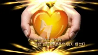 요셉 요셉피나 축일 가톨릭 성인_28