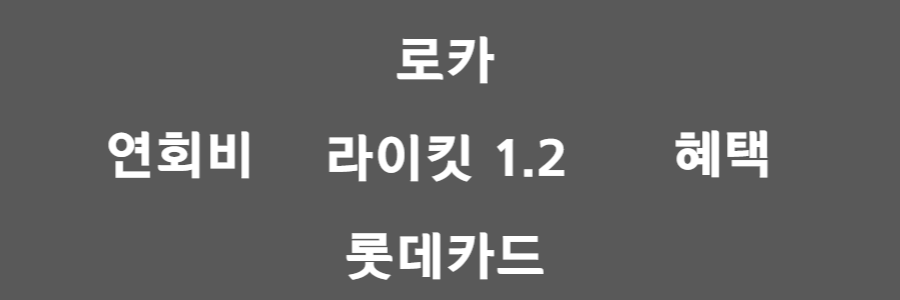  로카 라이킷 1.2(LOCA LIKIT 카드)를 써야하는 이유?