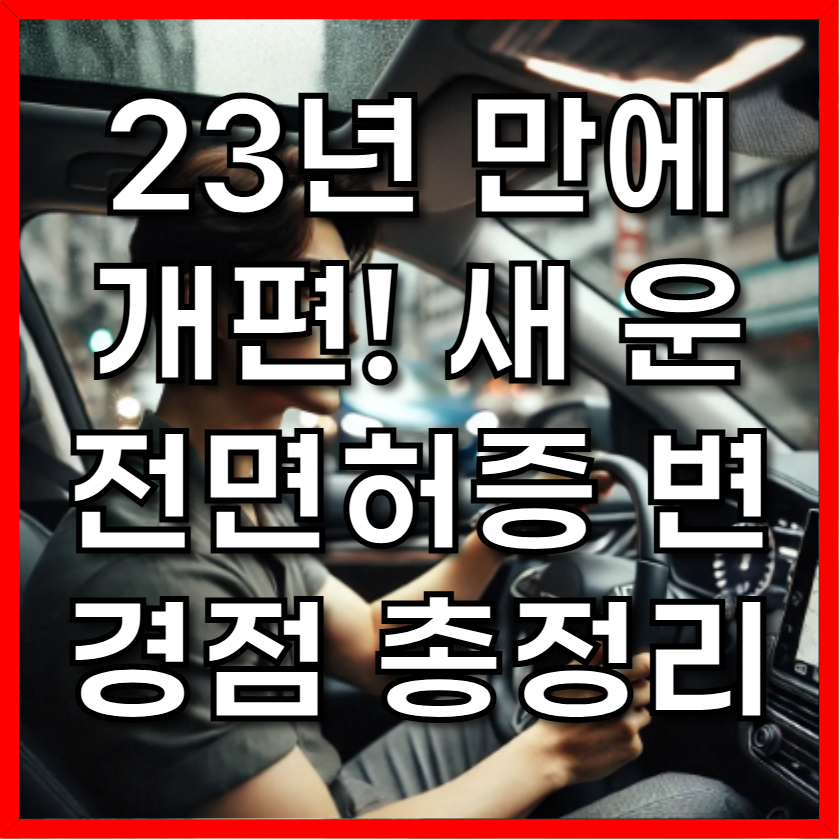 23년 만에 개편! 새 운전면허증 변경점 총정리
