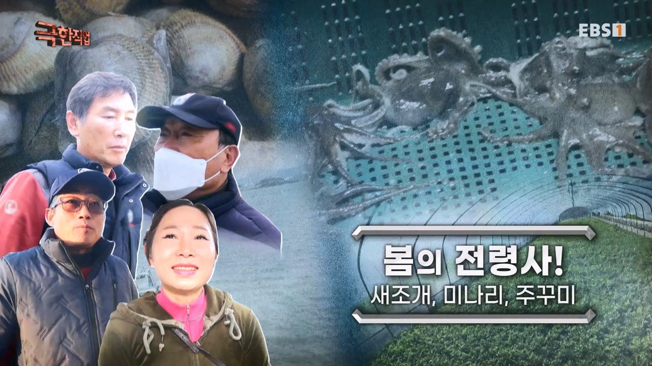 TV - 전 국민의 평생학교 EBS봄의 전령사! 새조개, 미나리, 주꾸미.mp4_20240316_165036.559.jpg