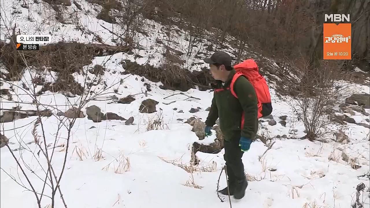 나는 자연인이다.E546.230323p.H264-F1RST.mp4_20230323_201529.006.jpg