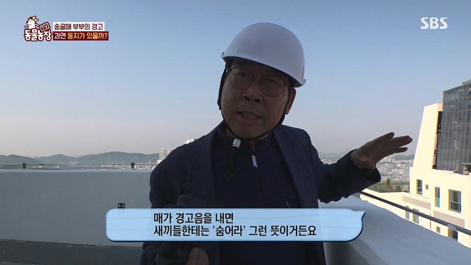 TV 동물농장.E1125.230618p.H264-F1RST.mp4_20230618_192112.698.jpg