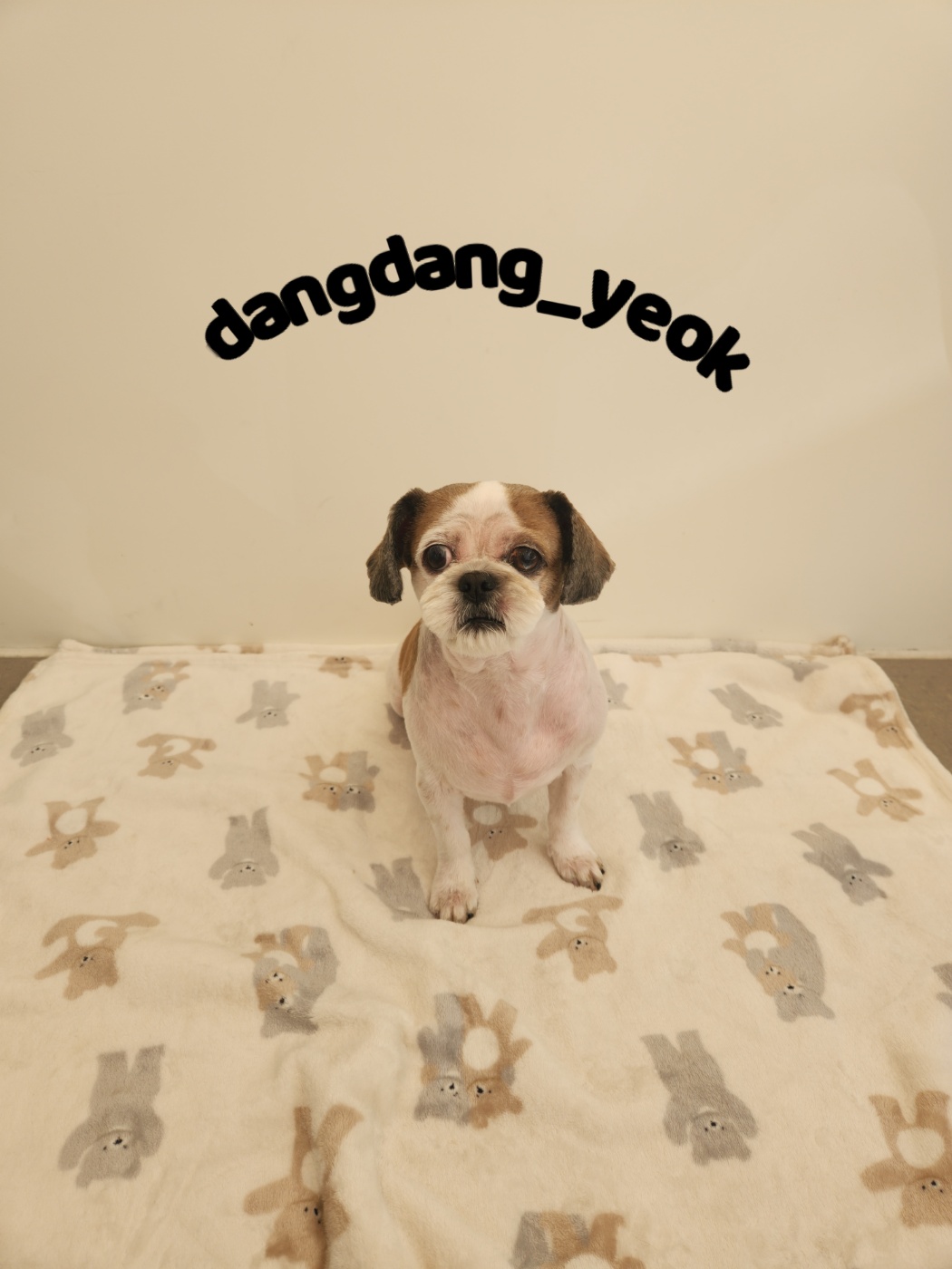 아름미용실 이미지