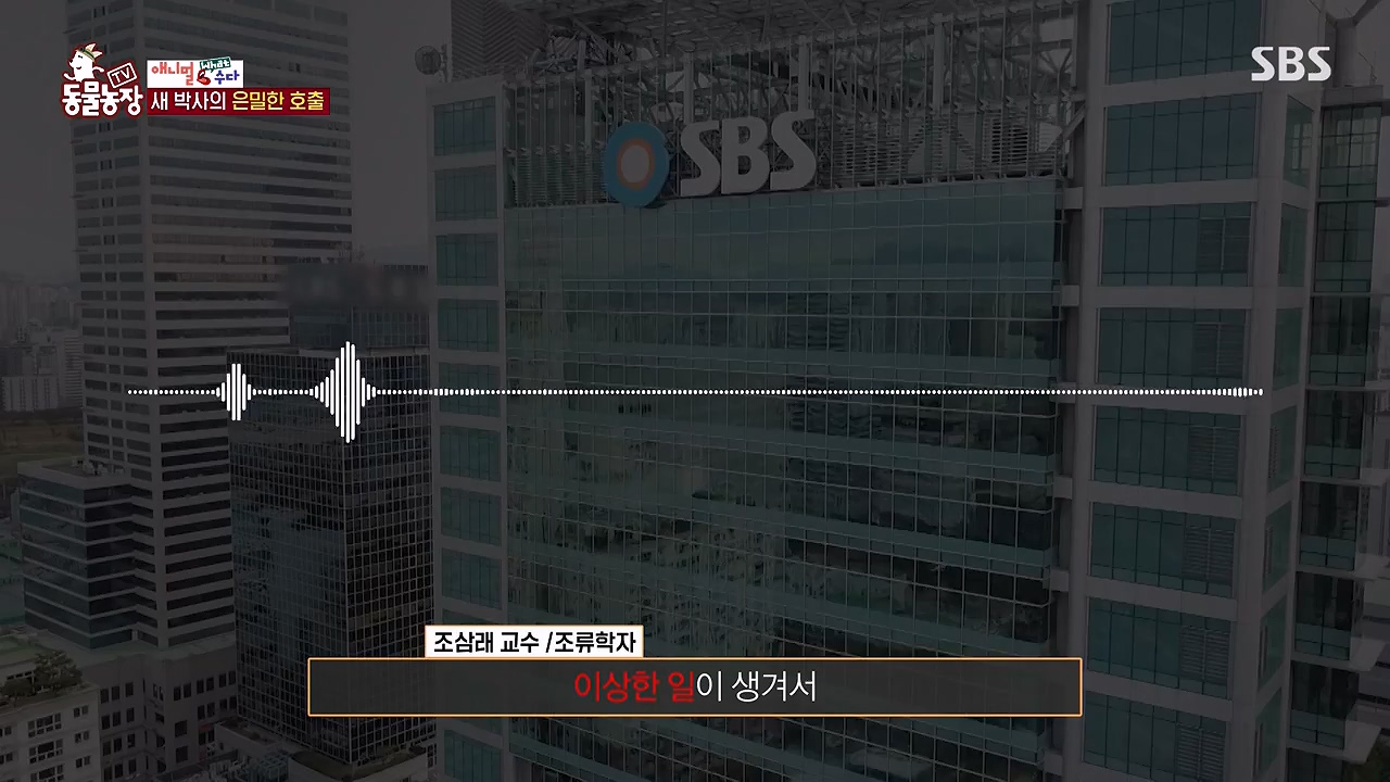 TV 동물농장.E1175.240610p-NEXT.mp4_20240609_160236.902.jpg