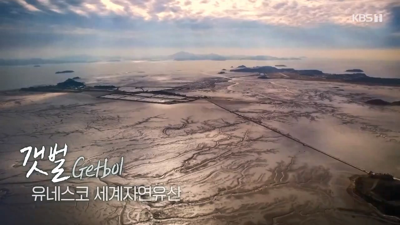 다큐 온.E206.230723p-NEXT.mp4_20230724_211919.206.jpg